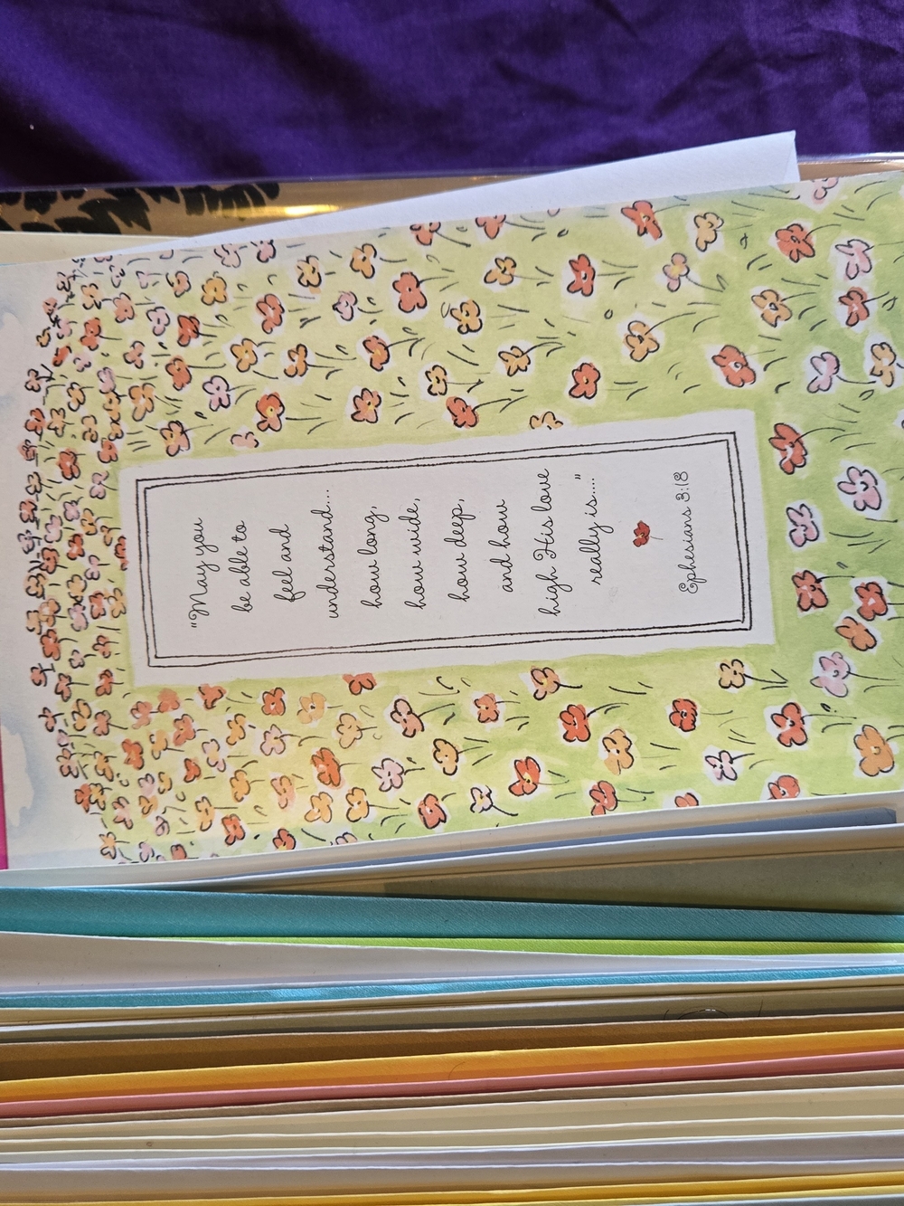 Assorted Greeting Card Stack - Multicolor - Picture 3 of 5